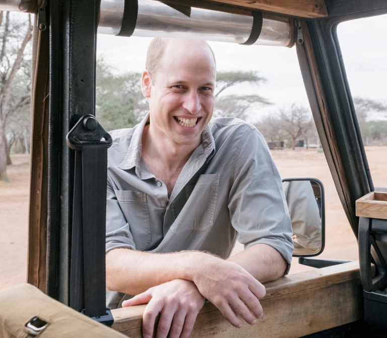 Did The Sussexes Snub Prince William And More