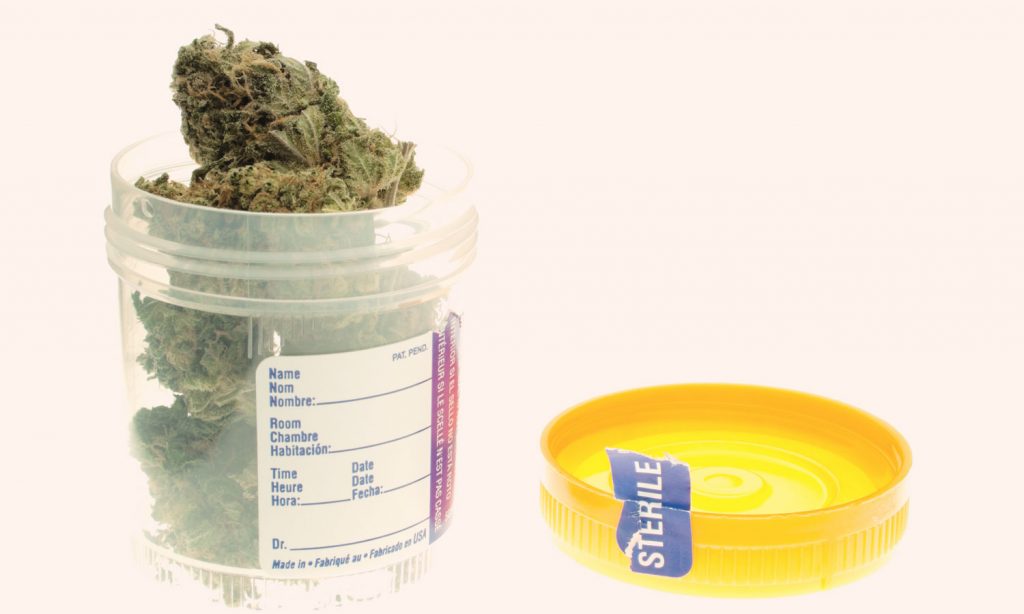 Tips To Safely Flush THC From Your Body