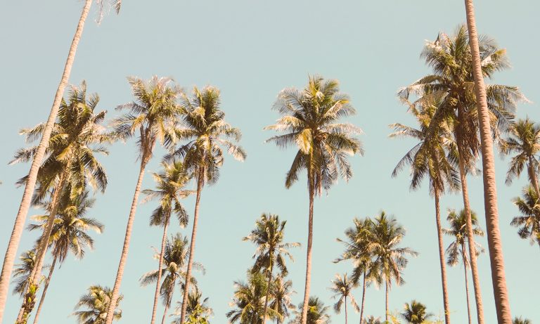 How To Buy Weed In Southern California