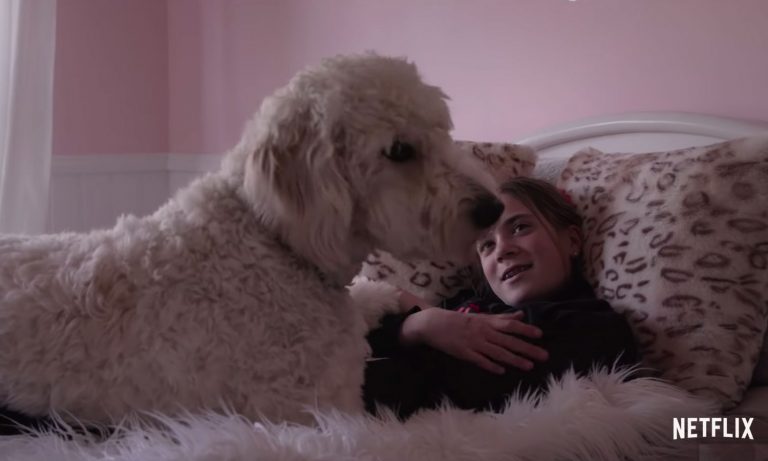 Netflix Wants You And Your Dog For The Second Season Of Their Hit Show ‘Dogs’