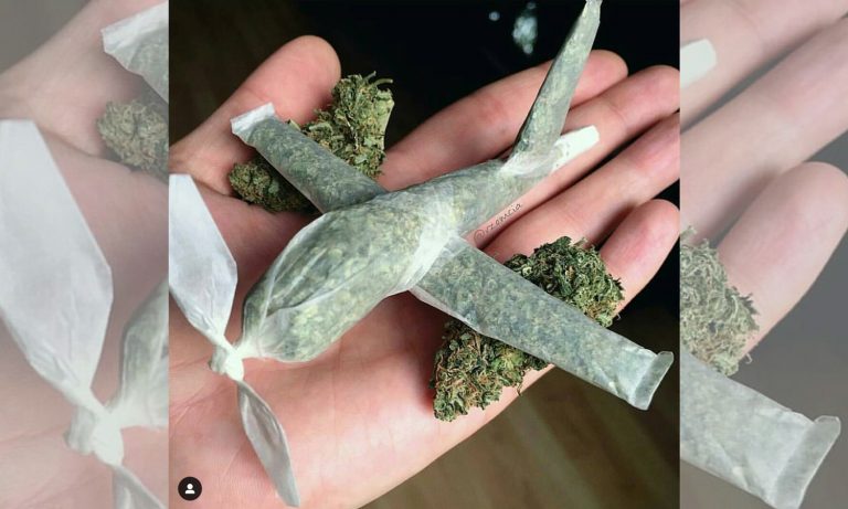 The High Circle, Little Politics And Fun Cannabis Instagram!