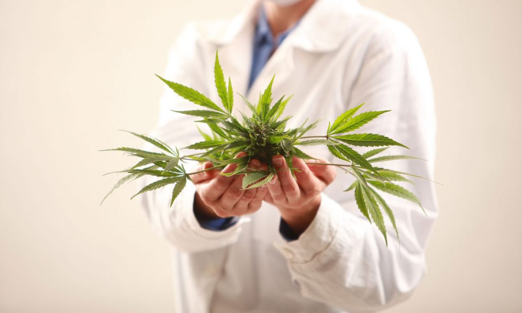 What Is Cannabis Telemedicine? Is It A Good Fit For You? - Benzinga