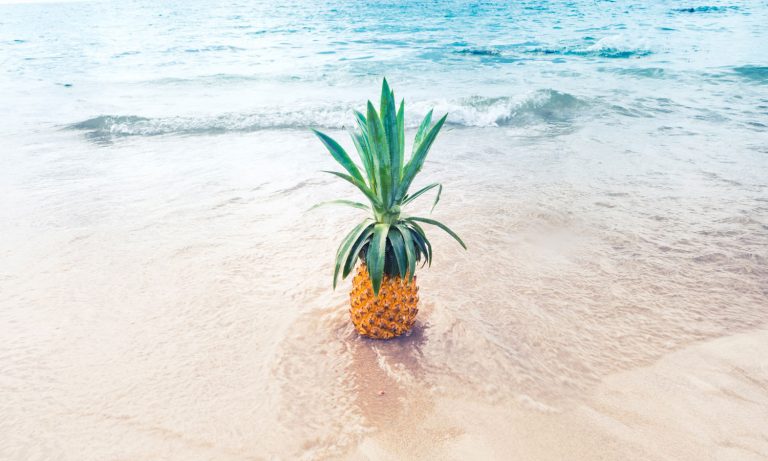 4 Ways To Vacation Without Leaving Your House