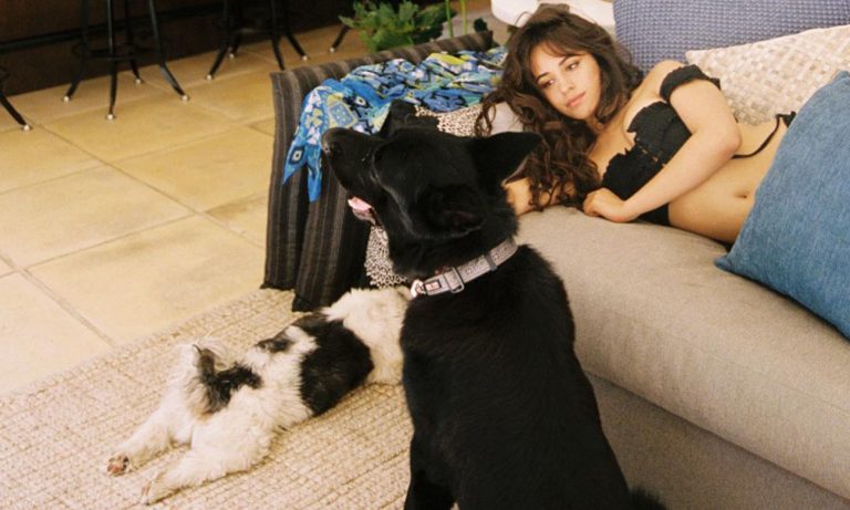 Camila Cabello Gets Real About Overcoming Anxiety; Twitter Thirsts Over Nick Jonas’ ‘Dad Bod’