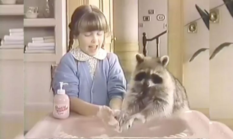 5 Videos Of Cute Animals To Get You Through This Week: July 8