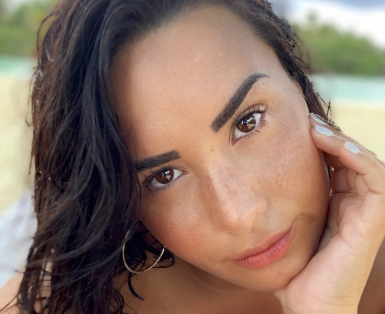 Demi Lovato Destroys Troll And More