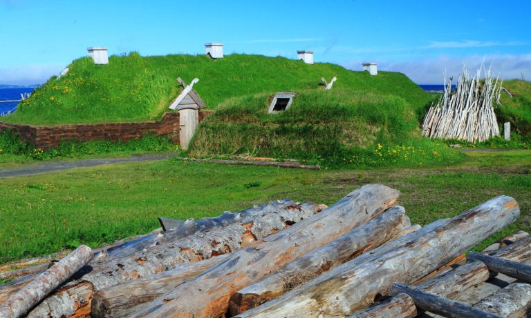 Did Vikings Bring Marijuana To North America
