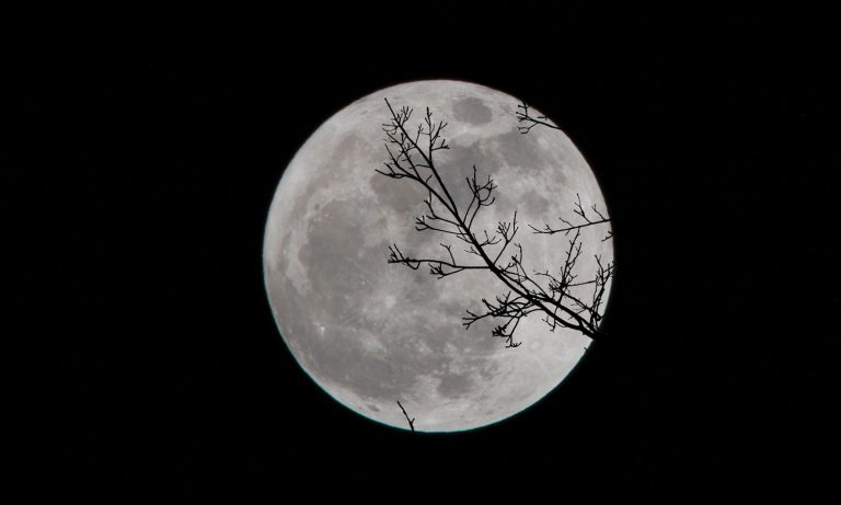 The Moon Landing Was Staged And Other Space Conspiracies