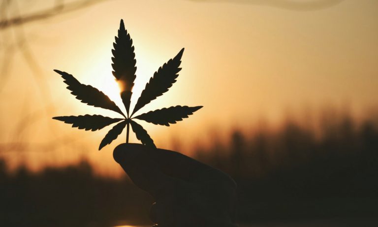 Does Canopy CEO Ousting Signal Positive Or Negative Sign For Marijuana Industry?