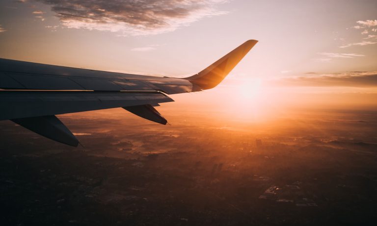 Ways To Prepare Your Pet For A Flight