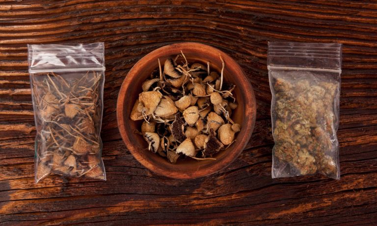 Sorry, But Science Doesn’t Favor Microdosing Psychedelics