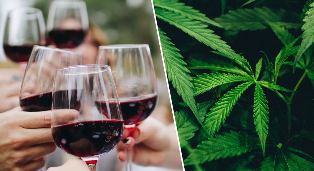 weed-clubs-vs-wine-clubs