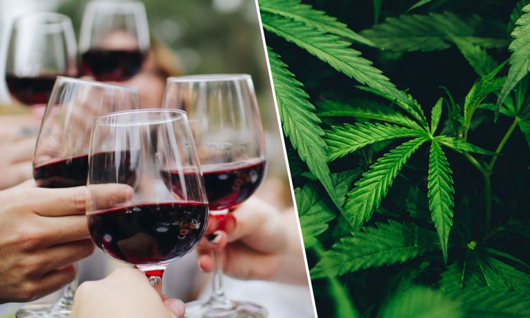 Is Regional Cannabis The Future Without Federal Legalization? What The Wine Industry Can Tell Us!