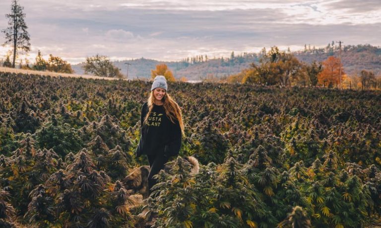 Canna.obscura’ Is The Perfect Mix Of CBD And Cannabis Photography