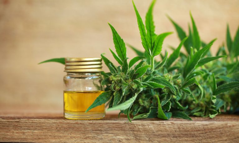The Best Time Of Day To Take CBD