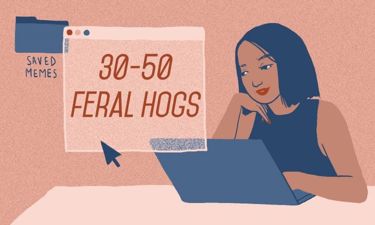 Meme Of The Week: One Tweet Sends Internet Into Feral Hog Obsession