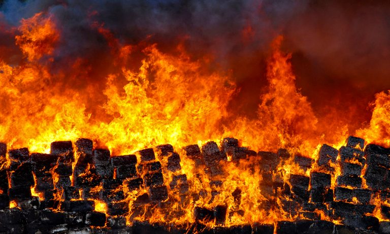 Feds Spent More On Marijuana Prohibition In 2018 Than Fighting Domestic Terrorism