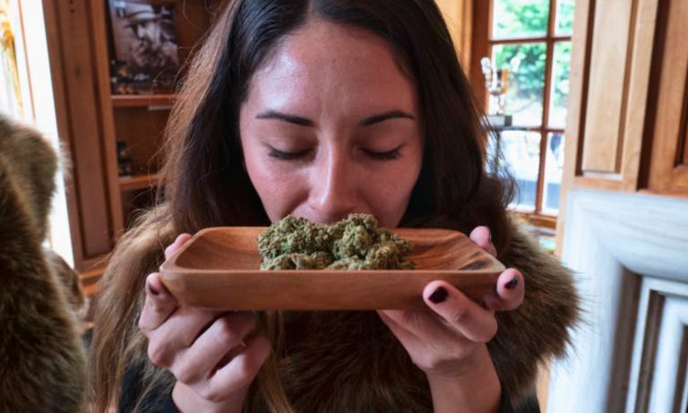 Should Investors Buy Marijuana Stocks?