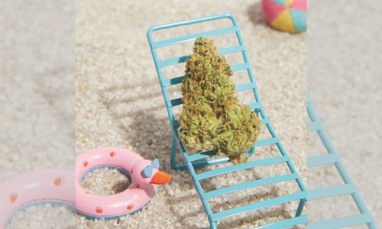 Weedstagram: High Girls Club Reinvents Marijuana Vibes On Instagram