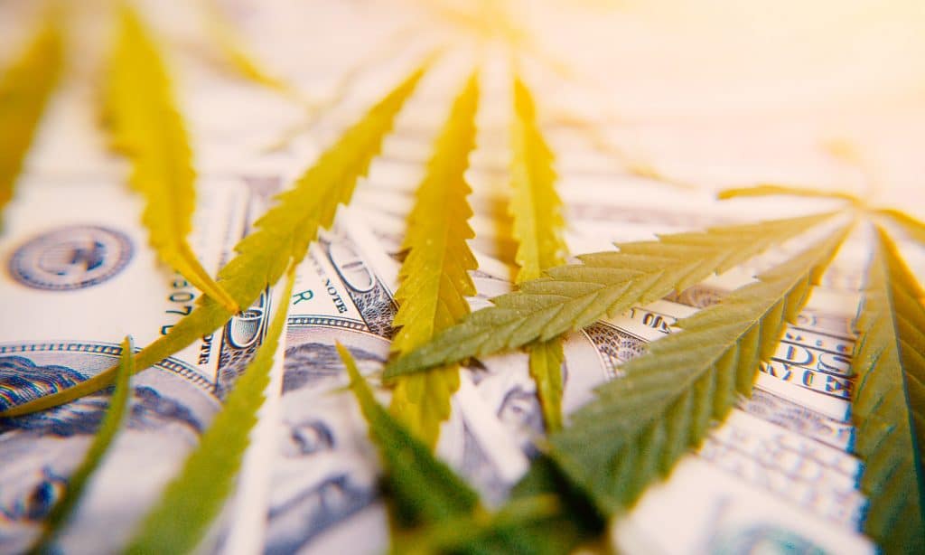 5 cannabis investor conferences worth attending in 2019