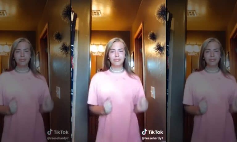 5 TikTok Videos Every Internet User Should Watch
