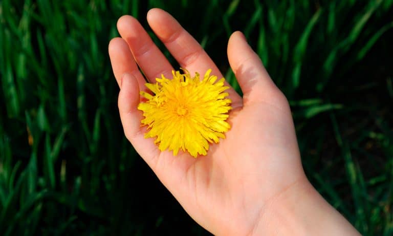 5 Symptoms That May Suggest Infertility In Women