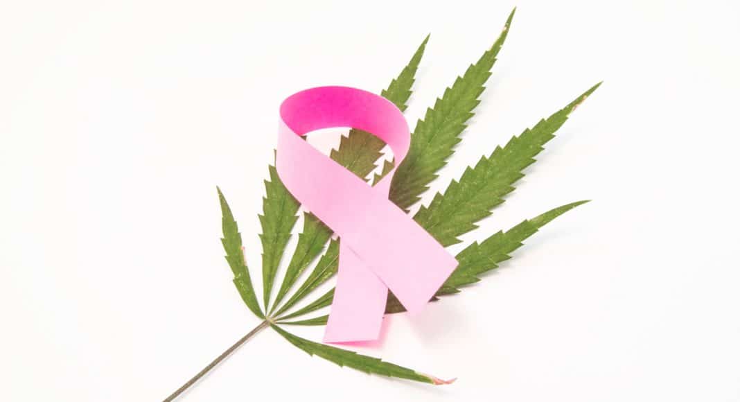 cannabis during breast cancer treatment what are the benefits