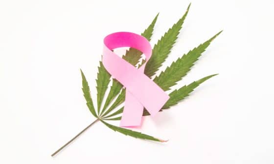 Cannabis During Breast Cancer Treatment: What Are The Benefits?