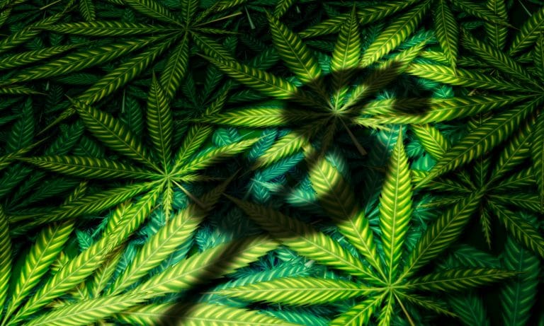 Don’t Hold Your Breath For Marijuana Banking In 2019
