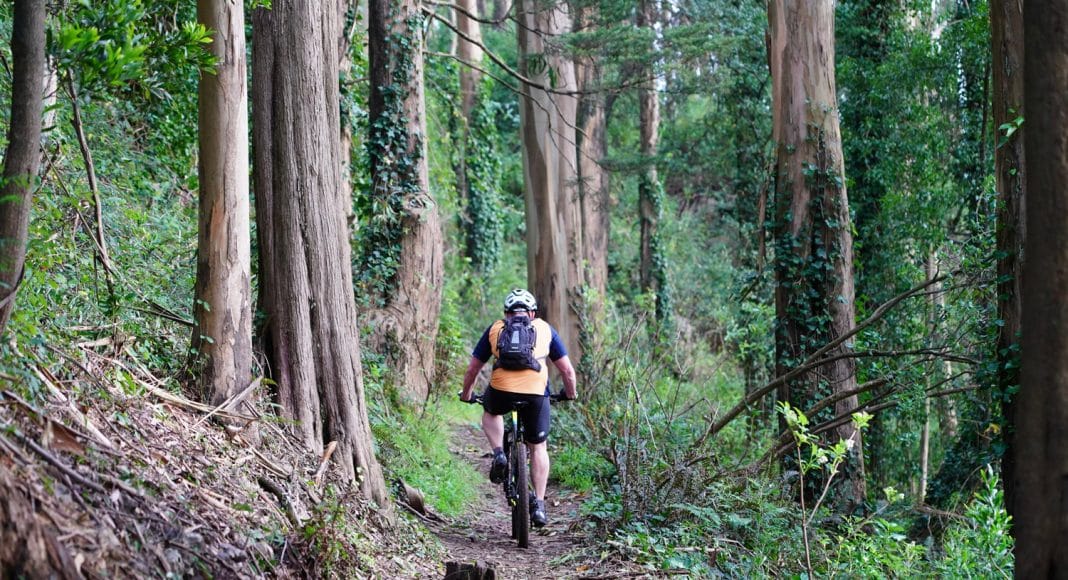 How CBD Can Help Mountain Bikers and Cycling Commuters Alike