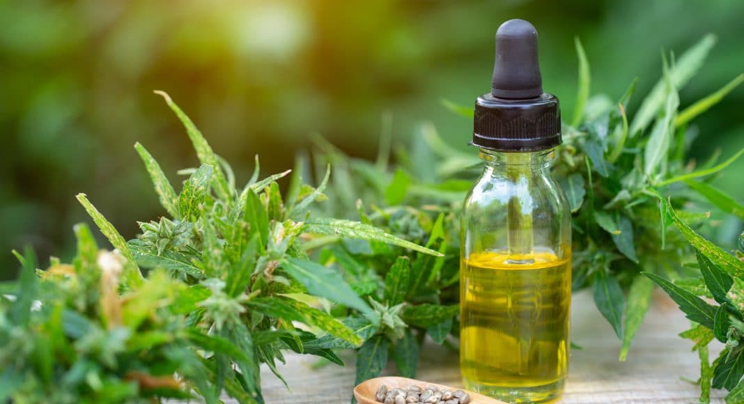 how long does cbd stay in your body