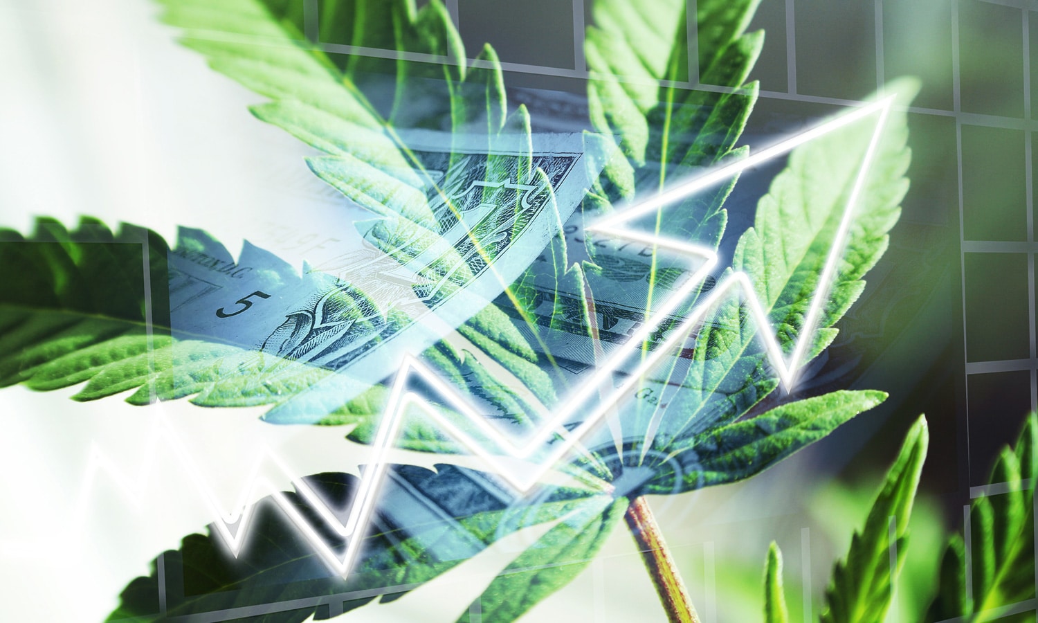 Marijuana Stock Investment Guide: Top 25 Cannabis Stocks in 2020