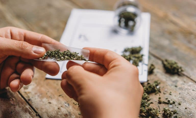 Marijuana Is Stronger Than Ever, But Don’t Get Too Excited