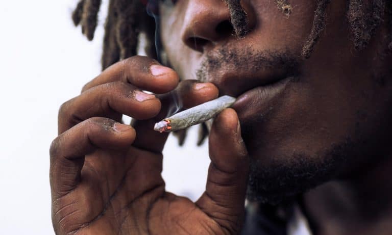 Is Odorless Marijuana The Next Trend Or Just Hype