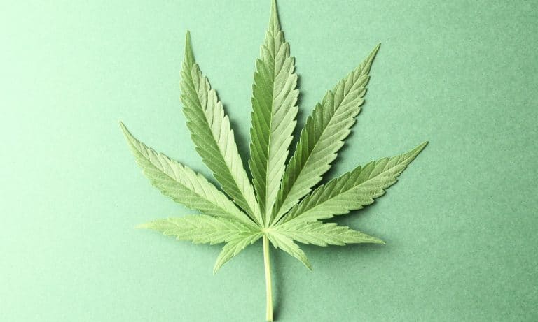 Top 5 Cannabis Industry Scandals