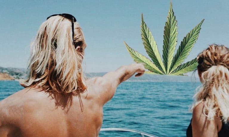 Weedstagram: ‘Highly Devoted’ Connects Cannabis Enthusiasts With Potential Romantic Partners