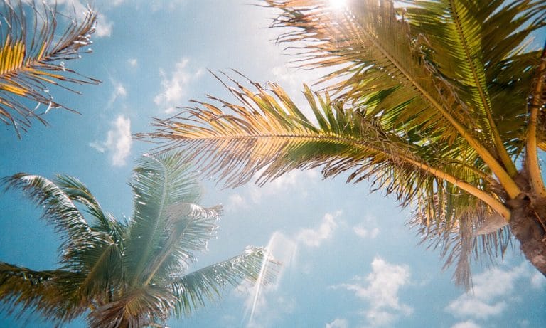 As The Presidential Election Looms, Where Is Florida In Their Legalization Of Marijuana?