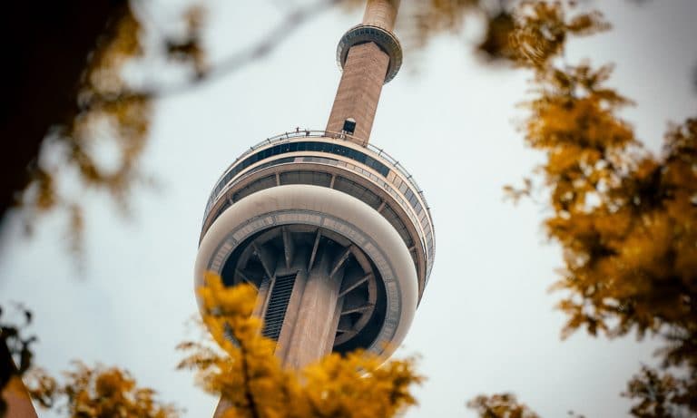 Transporting CBD Into Canada Is Not OK