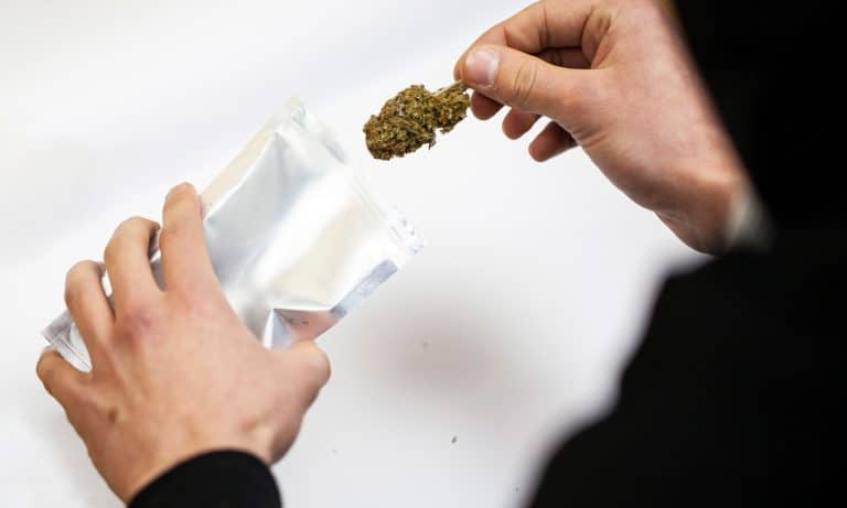 Oregon Usable Marijuana Possession Bumped To Two Ounces But Dispensaries Lag