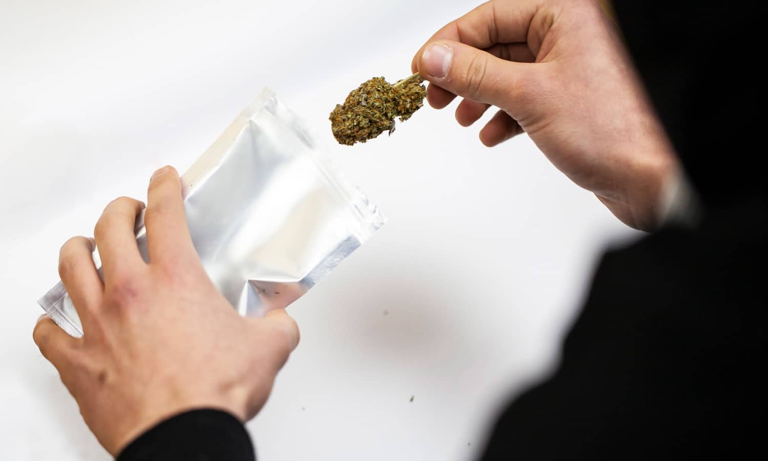 Is Vacuum-Sealing Your Weed Worth It or Is It More of an Urban Legend?