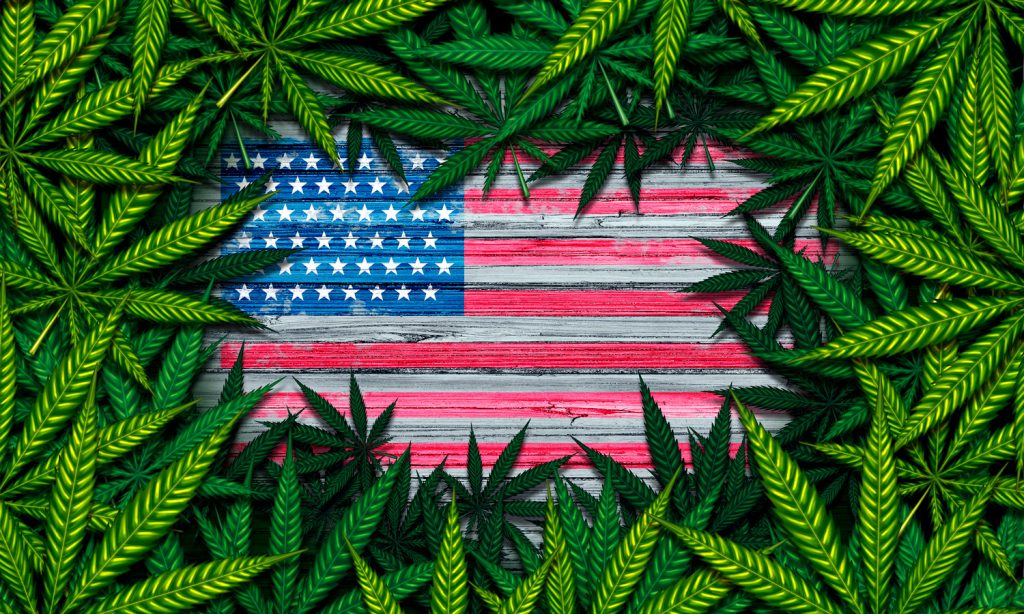 Grading The Presidential Candidates On Marijuana: Overall Rankings