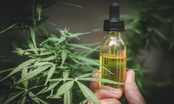 5 Things Doctors Know About CBD