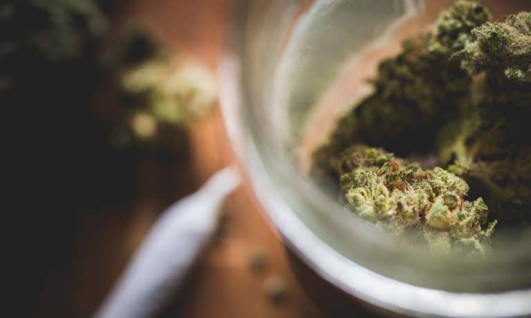 How California’s Power Outage Is Hurting Legal Marijuana