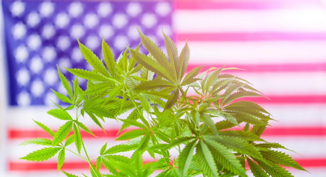 The United States of Cannabis Reveals Each State’s Distinct Cannabis Identity