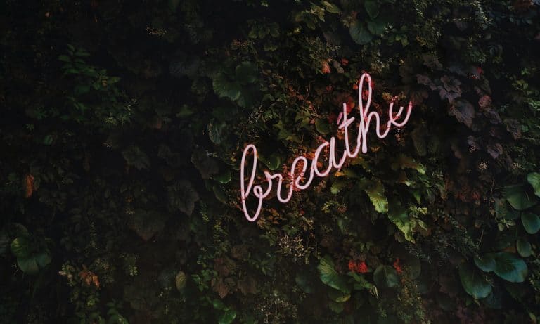 5 Wellness Gift Ideas That Won’t Break The Bank