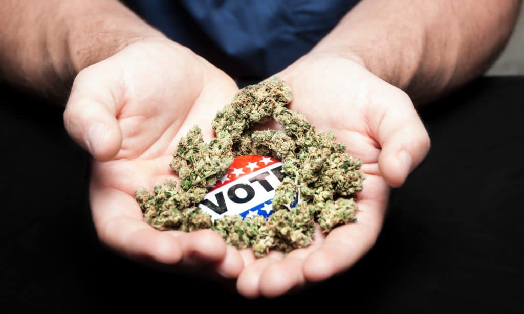 Cannabis Legalization: What’s At Stake On Election Day