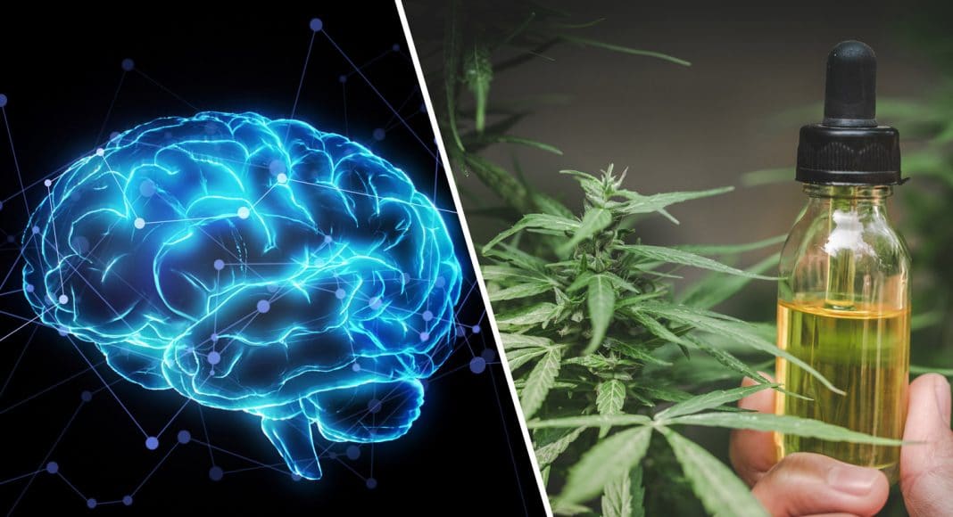 Does CBD Affect Your Memory?