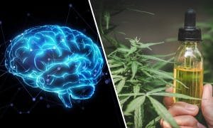 What If Your Next High Was Designed By AI