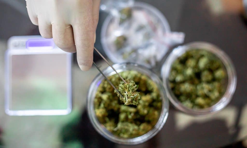 Here's Where Consumers Draw The Line At Where Cannabis Is Sold