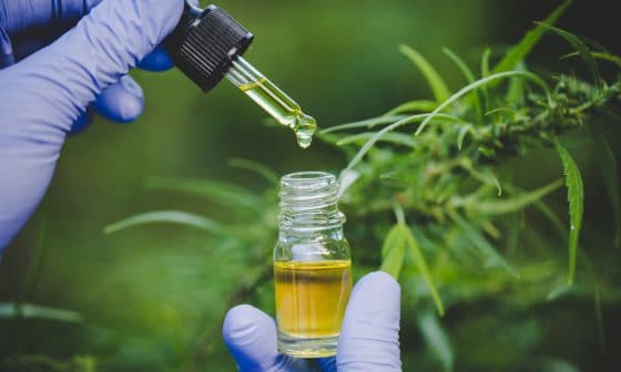 How CBD Provides A Brighter Future For Children With Epilepsy